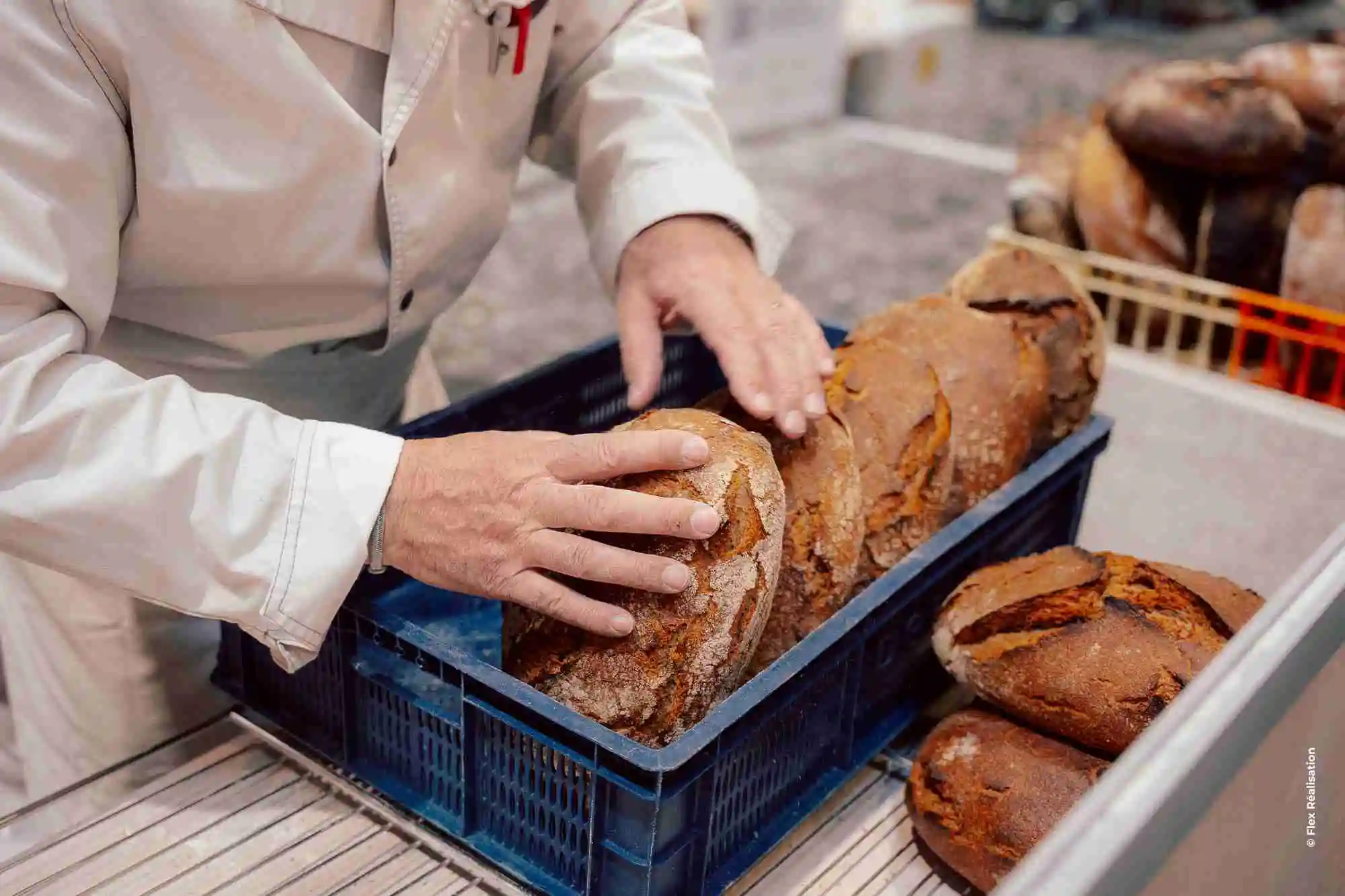 Salon Gastronomie & Vins d'Orléans 2025